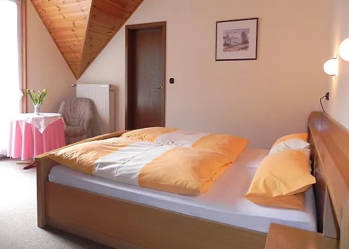 Gaestehaus Freimuth 메세니흐